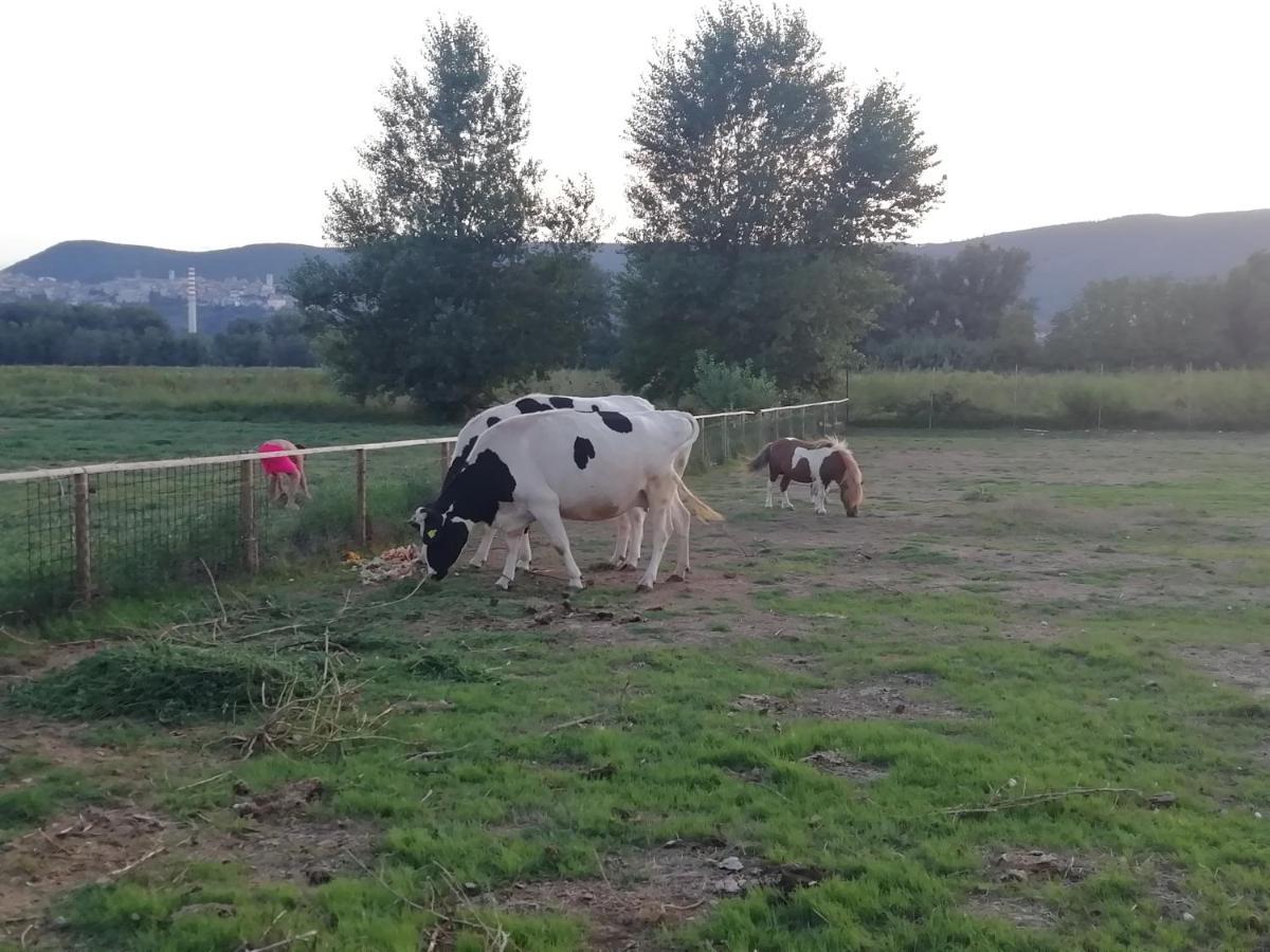 Agriturismo Tenuta Filippi Narni Kültér fotó