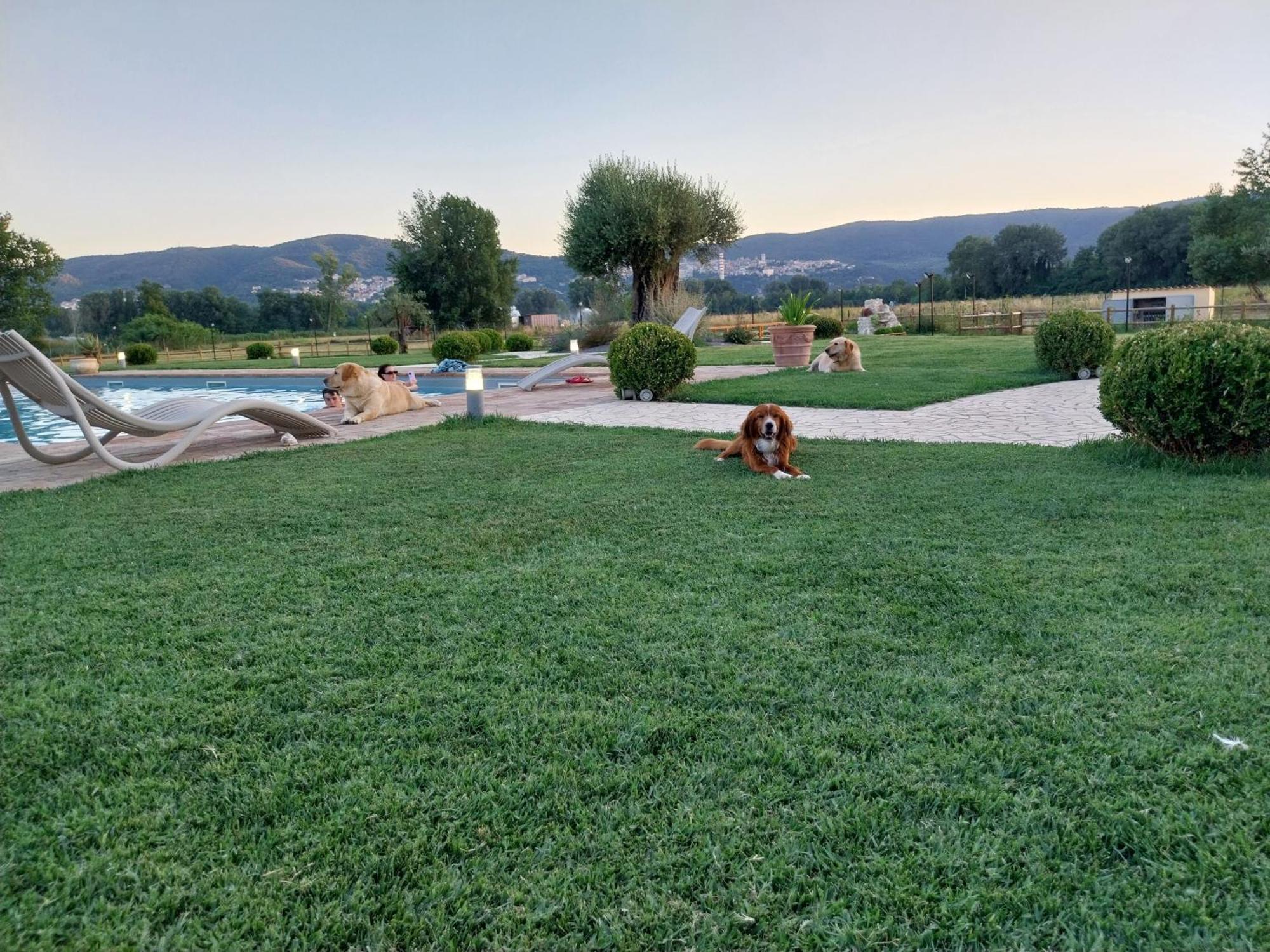 Agriturismo Tenuta Filippi Narni Kültér fotó